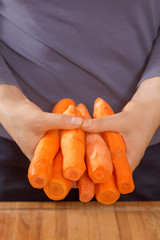 Kobiece dłonie trzymają obrane marchewki. - obrazy, fototapety, plakaty