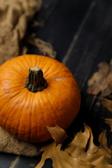 Pumpkin with dry autumn leaves and herbs and sackcloth fabric on black wooden background. Autumn harvest, healthy organic food concept. Copy space.