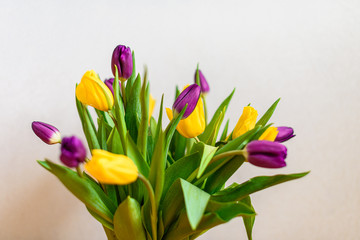 bouquet of colorful tulips
