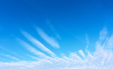 Unusual clouds as a bird wing with feathers in the blue sky.