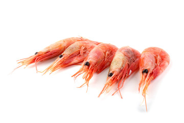 Shrimps