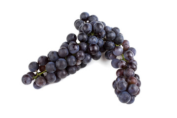 Wine grape variety for red wine