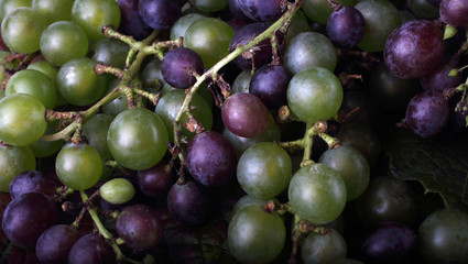 Different color grape