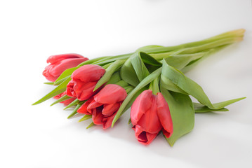 Bouquet of five red tulips on a white background with leaves, isolated, top view