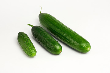 Cucumbers on white background. Cucumber varieties. Cucumber sizes. Close up.