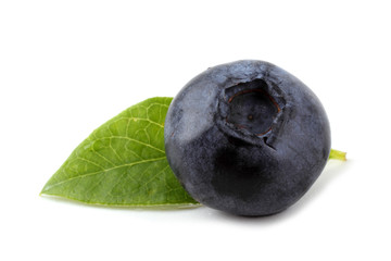 Blueberry and leaf