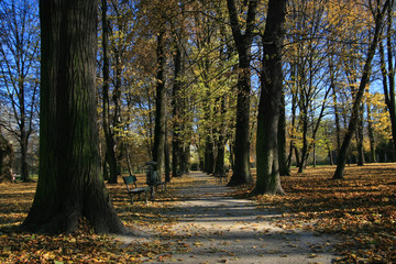 Autumn in Jordan Park in Cracow, Poland