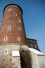 Obraz premium Wawel Castle in Cracow, Poland
