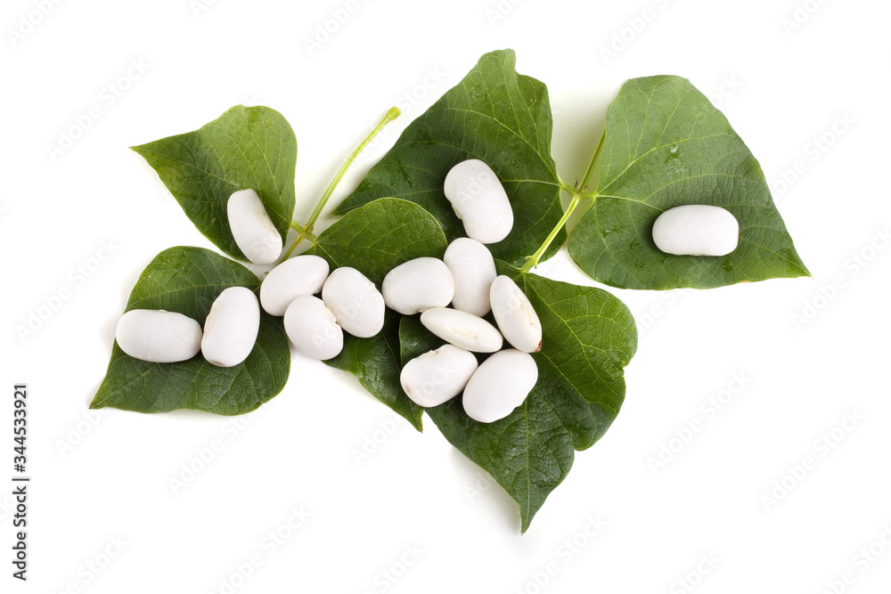 Sticker Beans and leaves