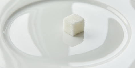 one lump of sugar on a white plate
