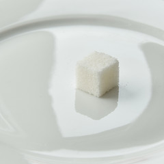 one lump of sugar on a white plate