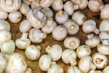 mushrooms for sale in a hypermarket, background texture