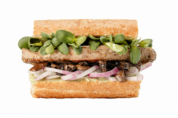 Delicious fastfood grilled fresh tasty sandwich with greenery isolated on white background