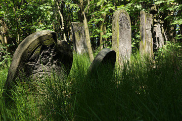 Old jewish cemetery in Lodz, Poland
