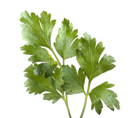 Parsley