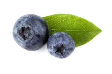 Blueberries and leaf