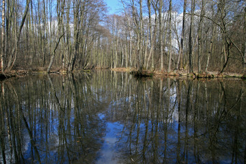 Obraz premium Spala Landscape Park, protected area near Spala town in Poland