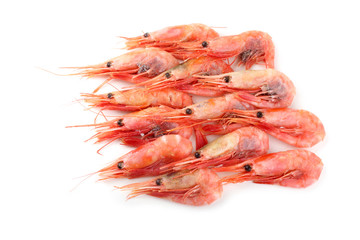 Shrimps