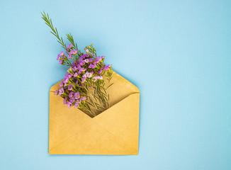 Beautiful spring purple flowers in a postal envelope on a blue paper background