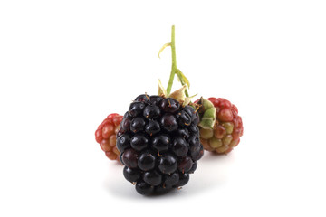 Blackberries
