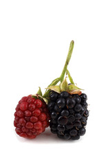 Blackberries