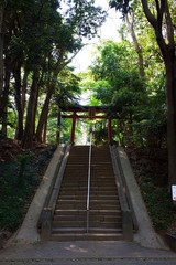 Obraz premium 氷川女體神社