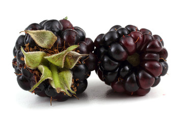 Blackberries