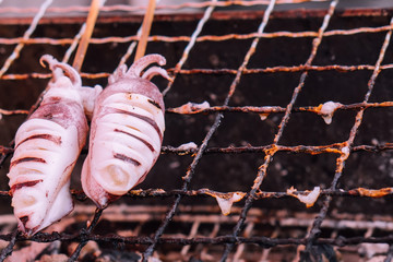 Fresh off the boat fisherman aquaculture traditional closeup grilles organic natural seafood squid octopus barbecue fresh sea no filter sell in local fish market for exotic homemade food experience