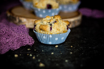 Blaubeeren-Muffins auf Holzscheibe mit dunklem Untergrund
