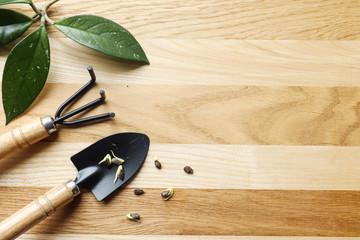 Seed packages with working equipment for agricultural work and sprouts on a wooden background,...