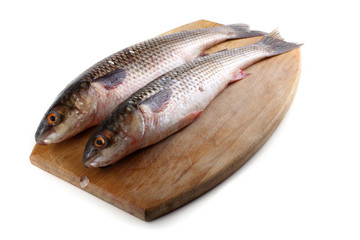 Pelengas (So-iny mullet)