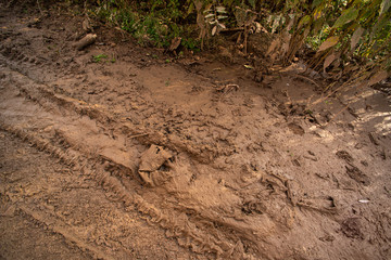 Tire tracks on a dirty road