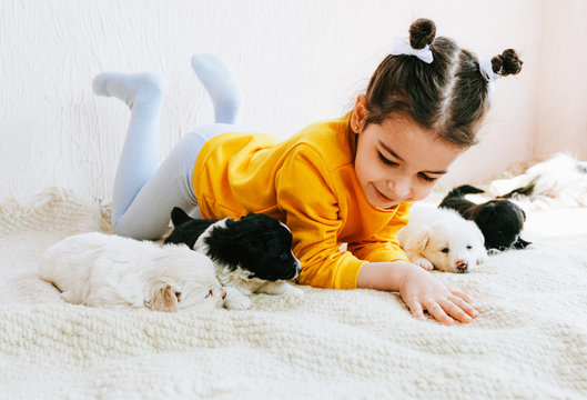 Image of the adorable child playing at home with little dog. Pretty little girl cares about the puppy. Kid playing her pet at the carpet in the room onm a sunny day.