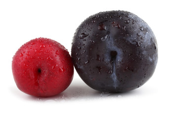 Red and black plums
