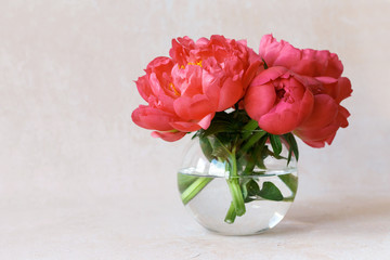 Still life with fresh beautiful red peonies in glass vase. Spring flowers concept. Copy space.