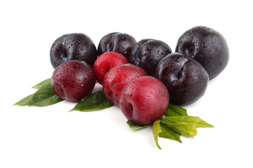 Plums and leaves
