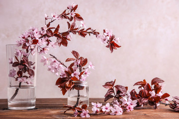 Flowering branches of pissardi plum in a glass