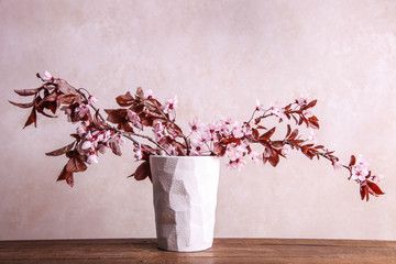 Flowering branch of pissardi plum in a ceramic corrugated vase