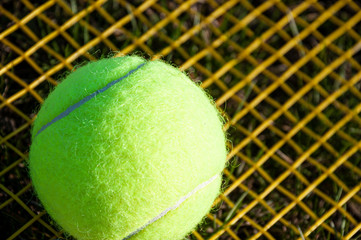 Ball for tennis on the background of racket strings.