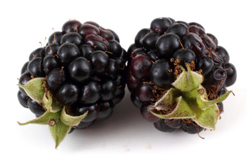 Blackberries
