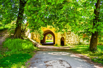 Obraz premium Long beautiful walk in the park. 