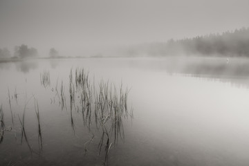 atmosfera suggestiva su questo lago con la nebbia al mattino