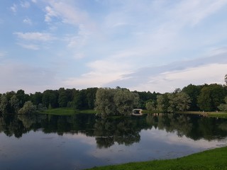 Obraz premium lake in the forest