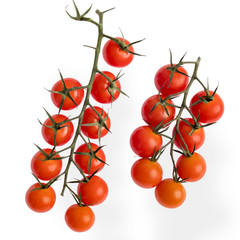 Branch of fresh cherry tomatoes isolated on white, top view