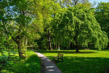Long beautiful walk in the park.
