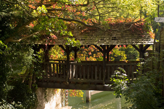 autumn leaves across a covered wooden bridge
