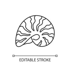 Moonshell pixel perfect linear icon. Common cockleshell, conchology thin line customizable illustration. Molluscan shell, spiral snail conch vector isolated outline drawing. Editable stroke