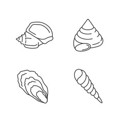 Different seashells pixel perfect linear icons set. Customizable thin line contour symbols. Triton trumpet, oyster, auger and top snail shells isolated vector outline illustrations. Editable stroke