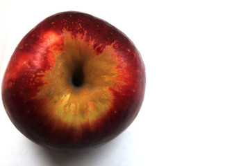 red Apple on a white background one