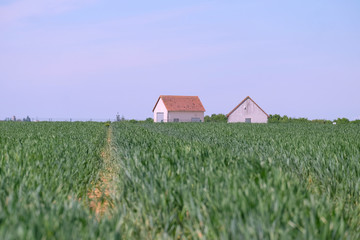 House in the field. France